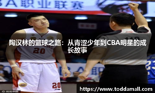 陶汉林的篮球之路：从青涩少年到CBA明星的成长故事