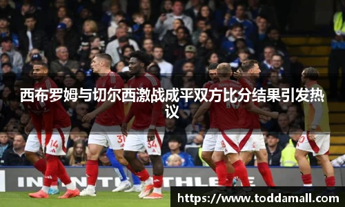 西布罗姆与切尔西激战成平双方比分结果引发热议